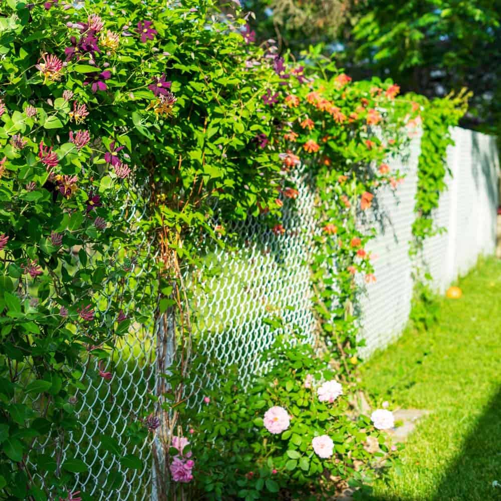 chain link fence installed in Jacksonville FL