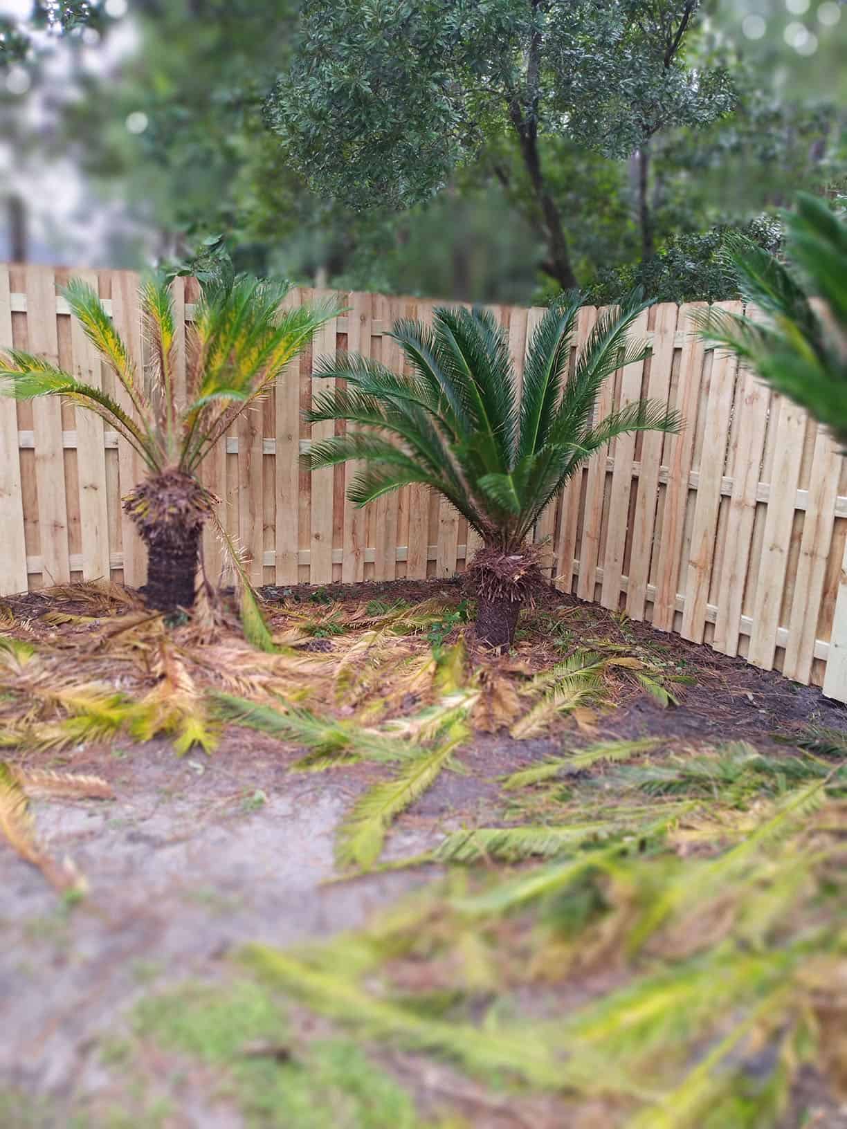 new wooden fence installation in Duval County, FL