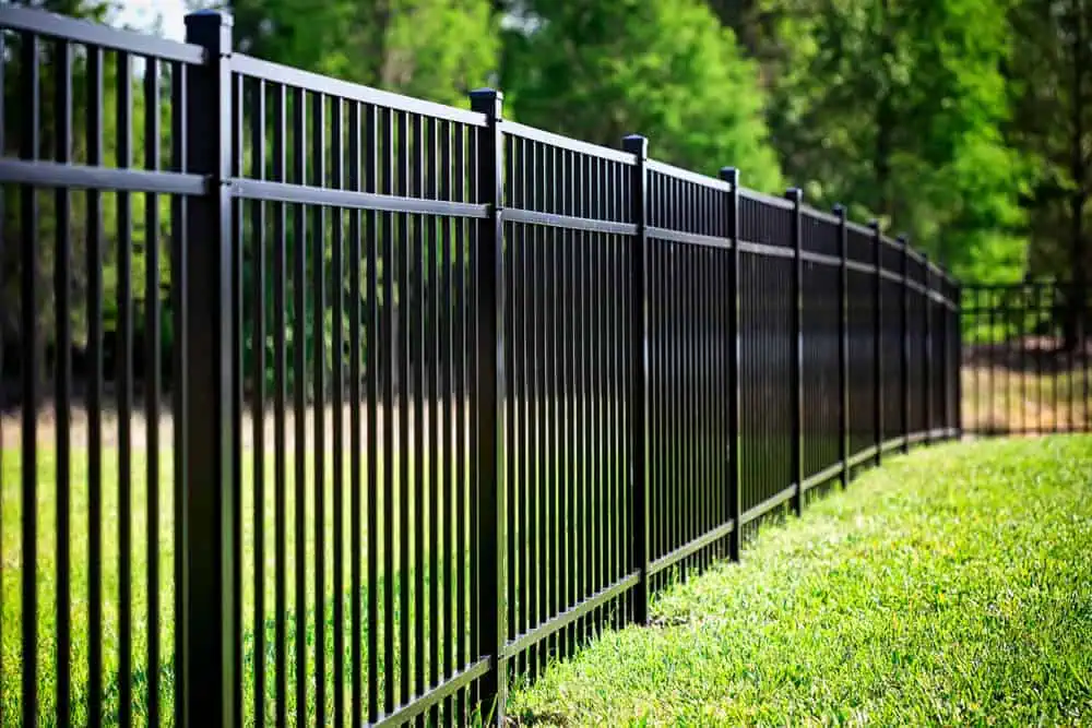A black metal fence with vertical bars stretches diagonally across a lush, green lawn. The background features blurred, dense greenery, evoking a garden or park setting under bright sunlight—courtesy of expert fencing installation in Duval County FL.