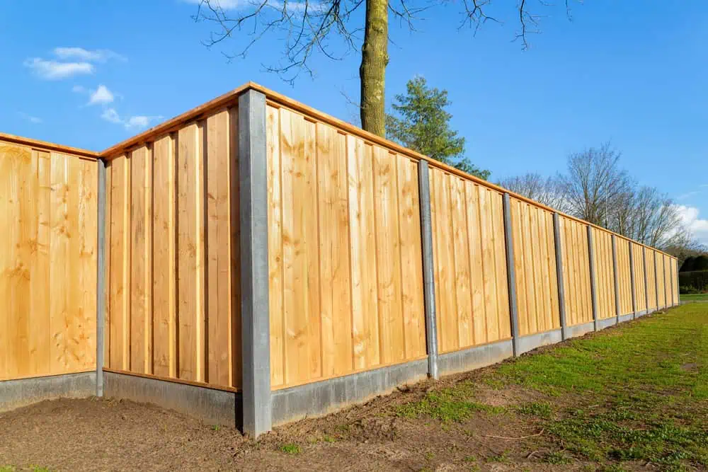 Wooden fence with vertical planks and gray concrete posts, set on a grassy landscape under a clear blue sky. A tree is visible behind the fence, showcasing the craftsmanship of a top fencing company in Duval County, FL.