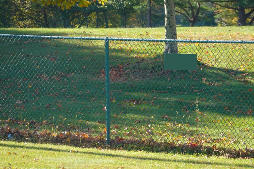 A green chain-link fence by Fencing Services Duval County FL features a blank rectangular sign in a grassy park. Sunlight casts shadows on the grass, while trees with autumn leaves create a picturesque backdrop.